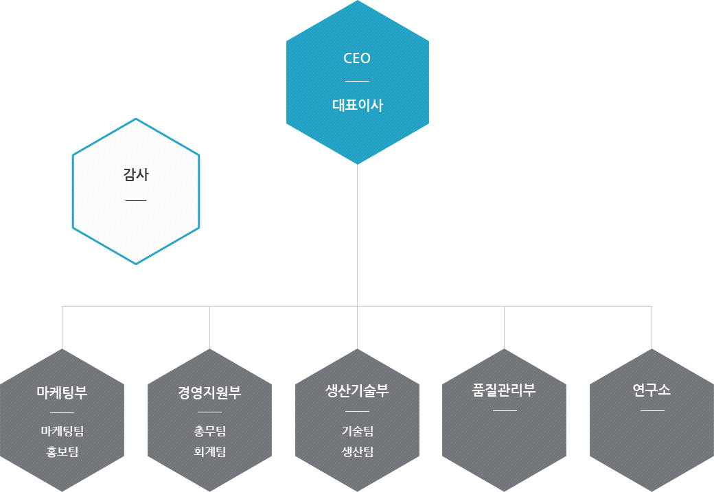 대표이사 - 감사, 기술자문위원회 - 연구소, 생산기술부(기술팀, 생산팀), 경영지원부(총무팀, 재무회계팀, 법무지원팀), 마케팅기획부(마케팅기획팀, 마케팅관리팀, 홍보팀)